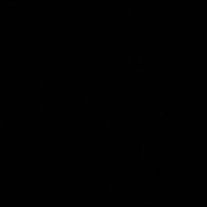 Meet your Posher, Tiara